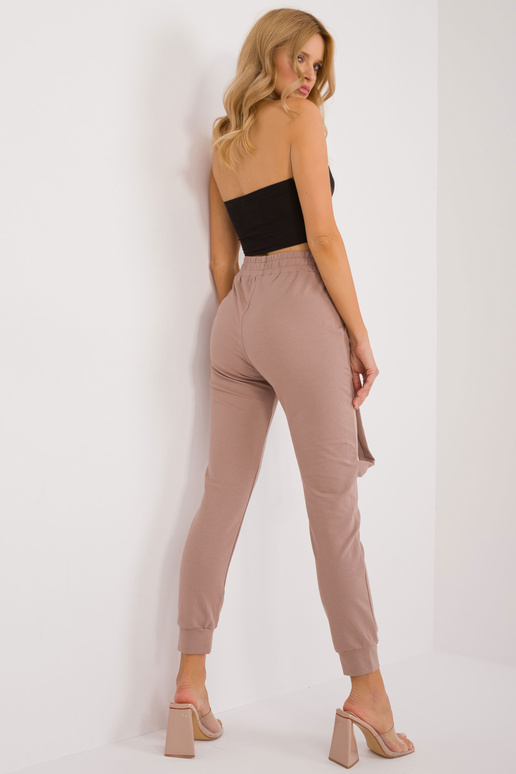 Dressipüksid-RV-DR-9629.82-tumebeež