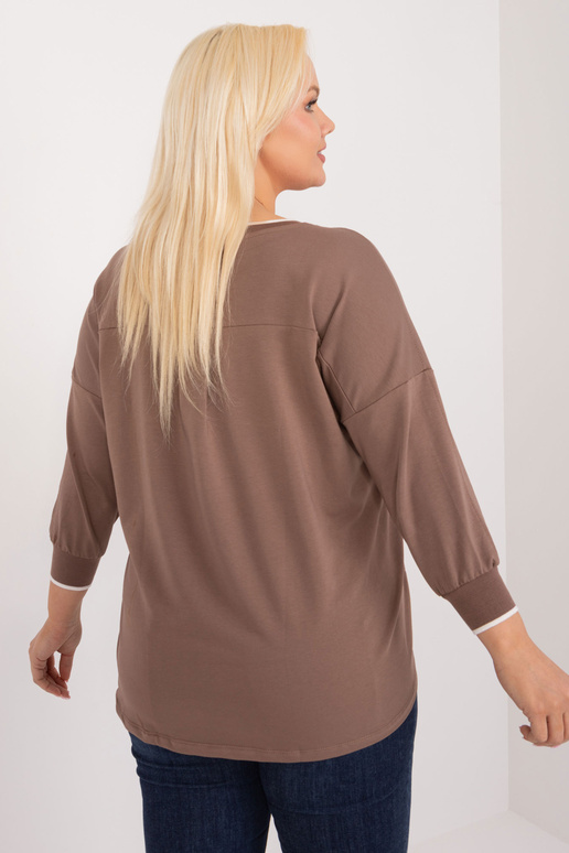 Pluus-RV-BZ-9343.33-pruun