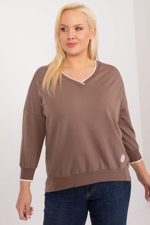 Pluus-RV-BZ-9343.33-pruun