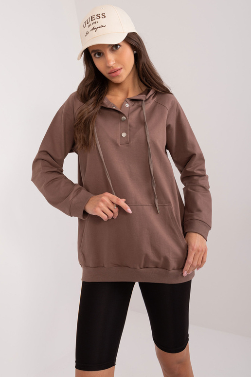 Pusa-RV-BL-8269.27-pruun