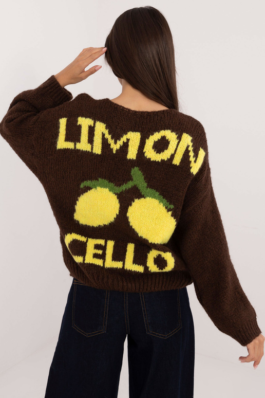 Kampsun-MI-SW-2108.92-pruun