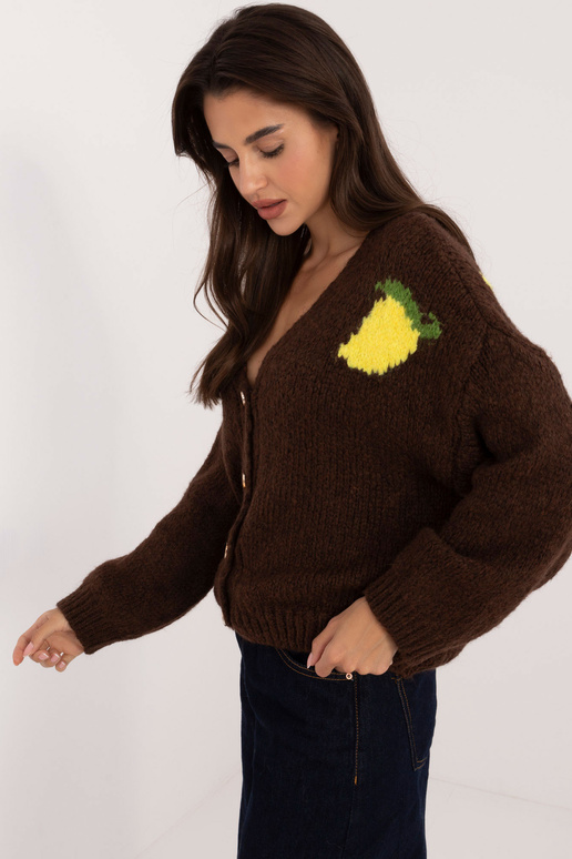 Kampsun-MI-SW-2108.92-pruun