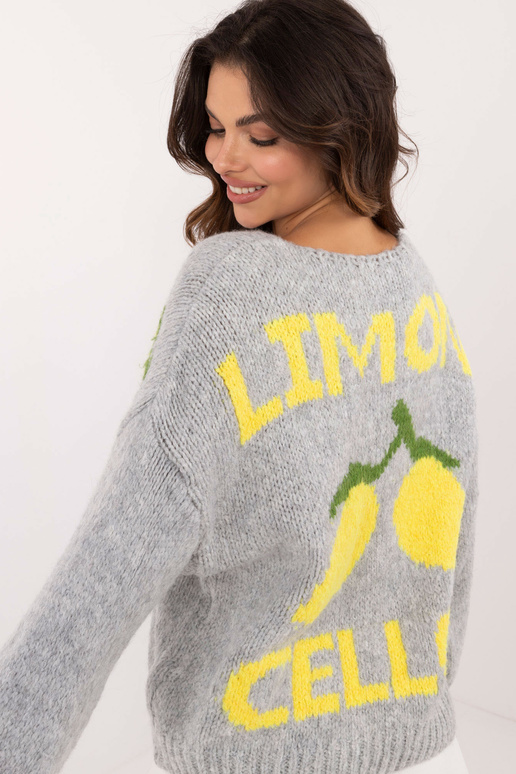 Kampsun -MI-SW-2108.92-hall