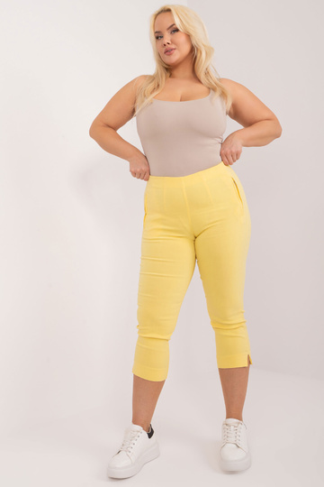 Püksid-AT-SP-1863.37-heleko... 2