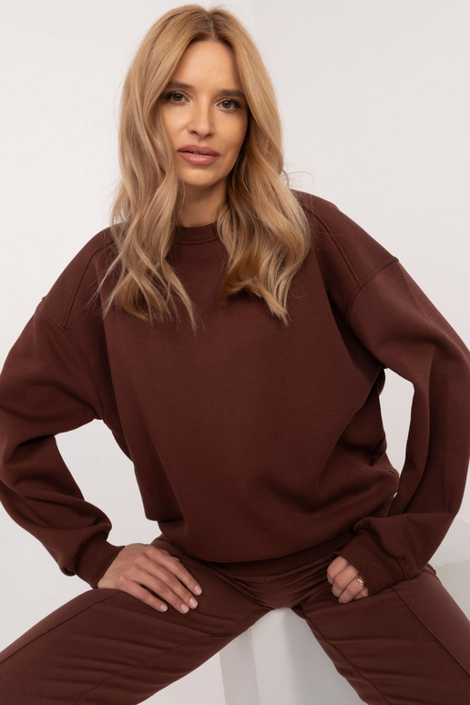 Pusa-CLM-BL-1280.22-pruun