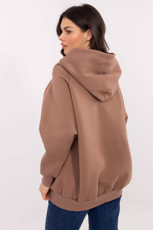 Pusa-EM-BL-881.16-pruun