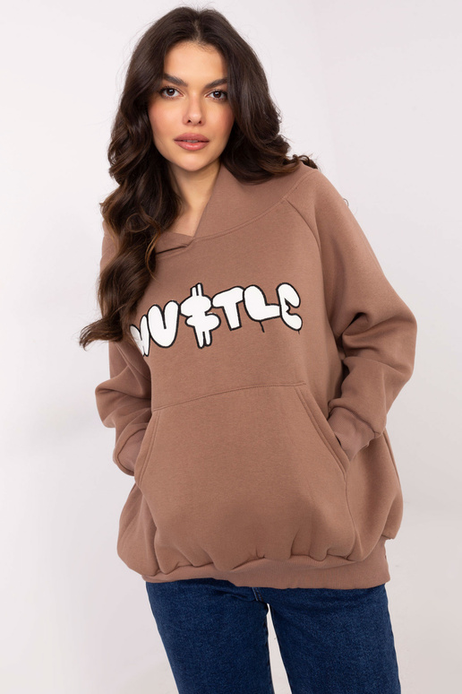 Pusa-EM-BL-881.16-pruun