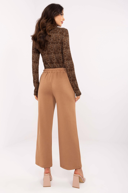 Püksid-DHJ-SP-20356.49-kaamel