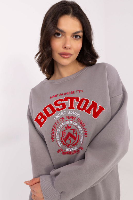 Pusa-EM-BL-617-15.51P-hall