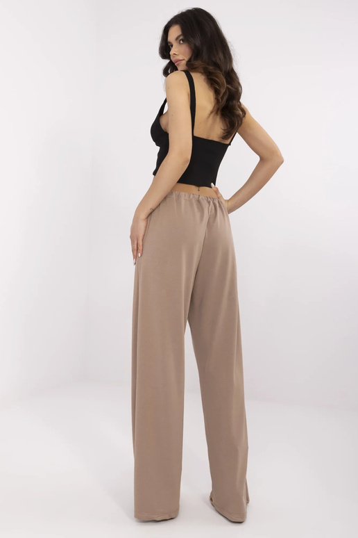 Dressipüksid-RV-DR-A591.18-tumebeež