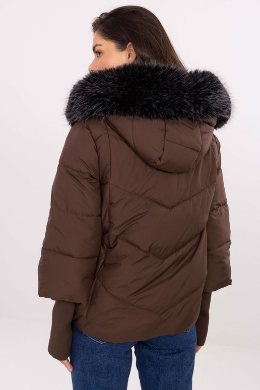 Pruun jakk Pruun jakk