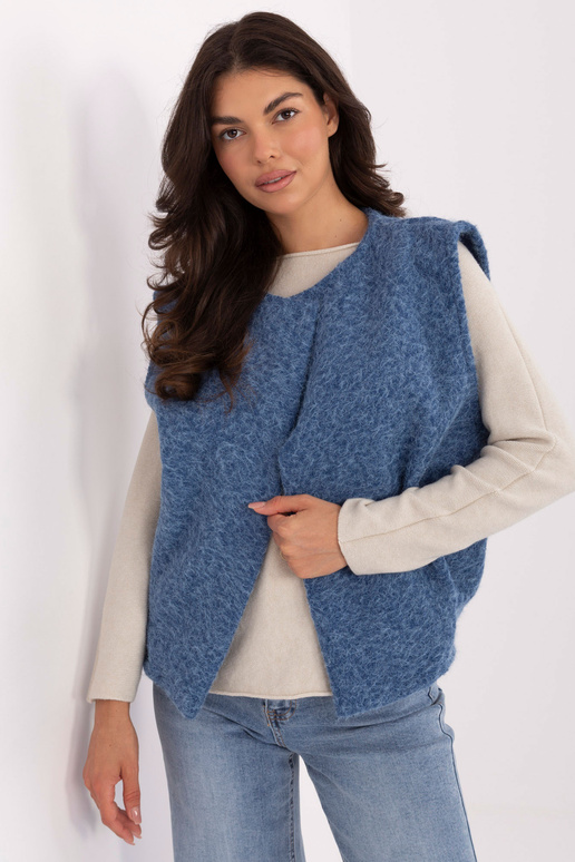 Sinine vest