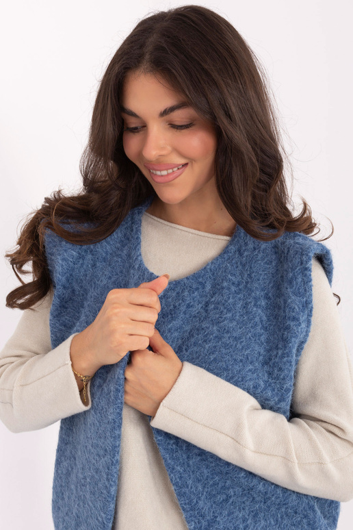 Sinine vest