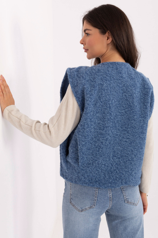 Sinine vest