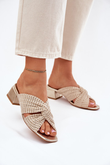 naiste plätud   06955-25 beeži värvi-Kuldset värvi