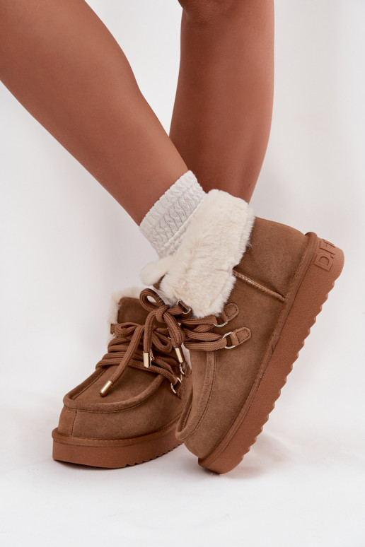 Naistemud saapad naturaalsest suede D.Franklin DFSH375006 pruuni värvi