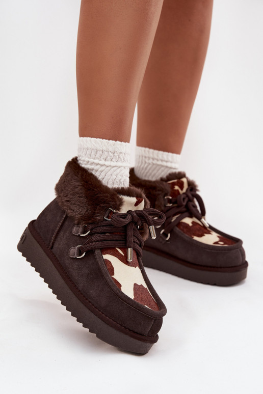 nööpidega lumesaapad  Z Naturalnego Zamszu Łaty D.Franklin DFSH375008 Czekoladowe