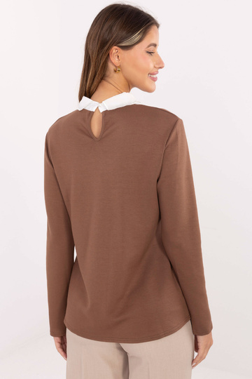 Pluus LK helepruun 2