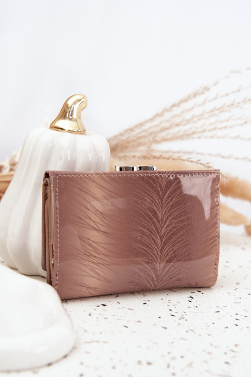  Rahakott Z Drobinkami elevandiluu värvi Cermina