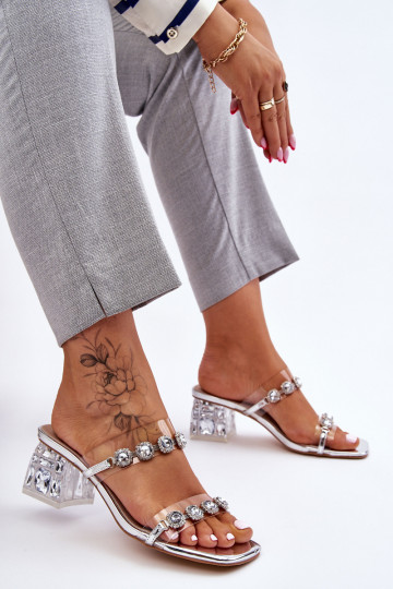  Sussid  Hõbedat värvi Leyla 2