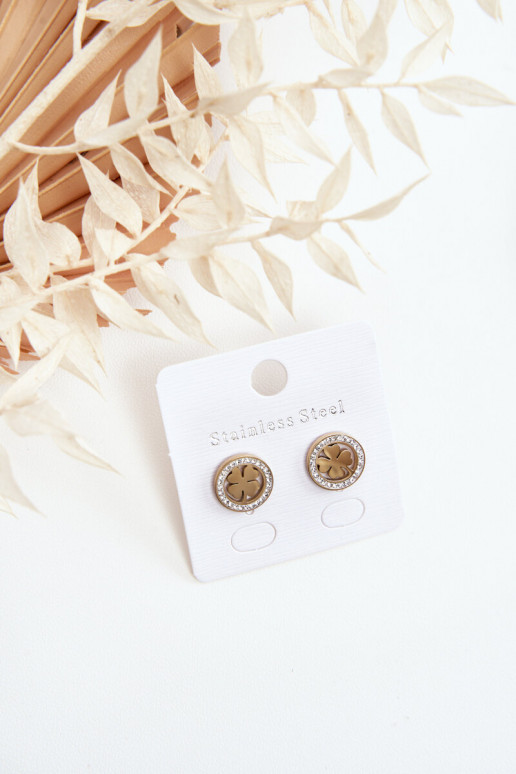 Roostevabast terasest kõrvarõngad Kuldset värvi