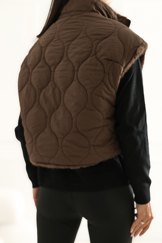 Pruun vest