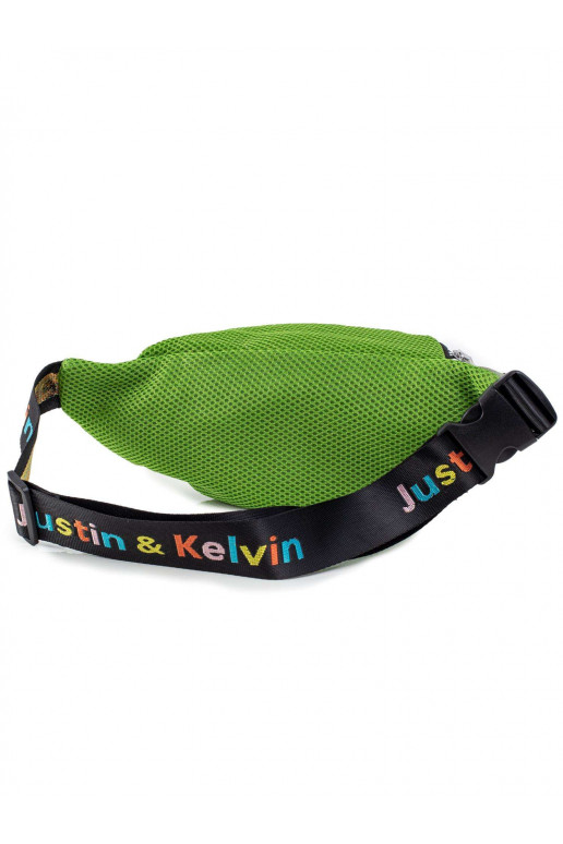 Roheline värvilise triibuga neerukotike