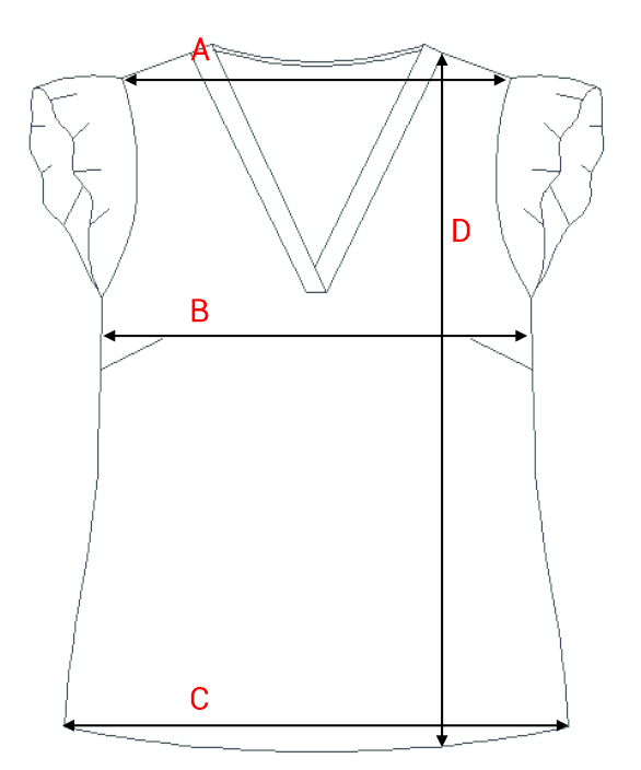 Dydžių schema